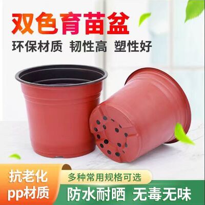 育苗专用杯蔬菜营养袋一次性花盆