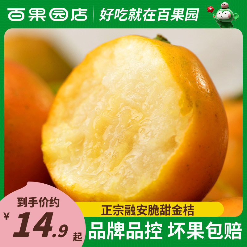 【百果园店】正宗广西融安金桔3斤脆甜小金桔滑皮新鲜水果