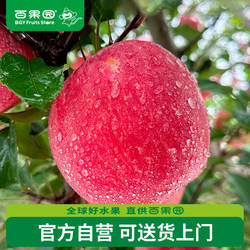 百果园店 水晶红富士苹果当季新鲜水果5斤装单果径80mm-85mm整箱