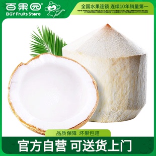 泰國椰青新鮮椰子9粒裝 新鮮香水椰進口水果椰子 百果園店