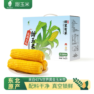 田里有草新鲜东北非转基因水果甜玉米开袋即食真空包装免煮早餐