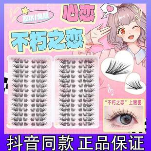 心心恋恋不朽之恋睫毛书28排清冷小薄片自然轻薄单簇分段式新手k