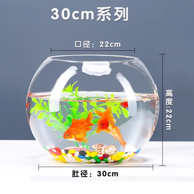 办公室小鱼缸加厚透明玻璃