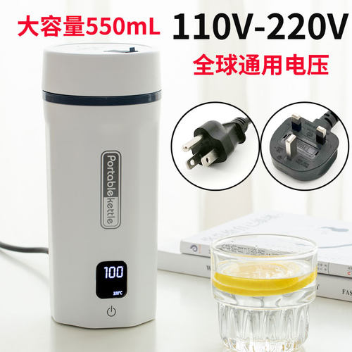110-220V全球通用电热杯美标
