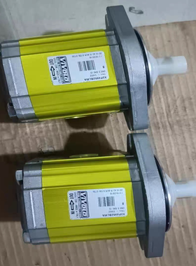 意大利ViVOLO油泵维沃尔齿轮泵X2P4952BLMA双联马达X0P062ABBA0