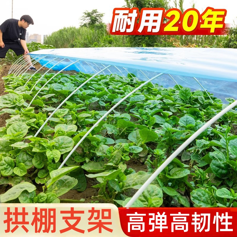 拱棚支架蔬菜地菜棚农用小棚