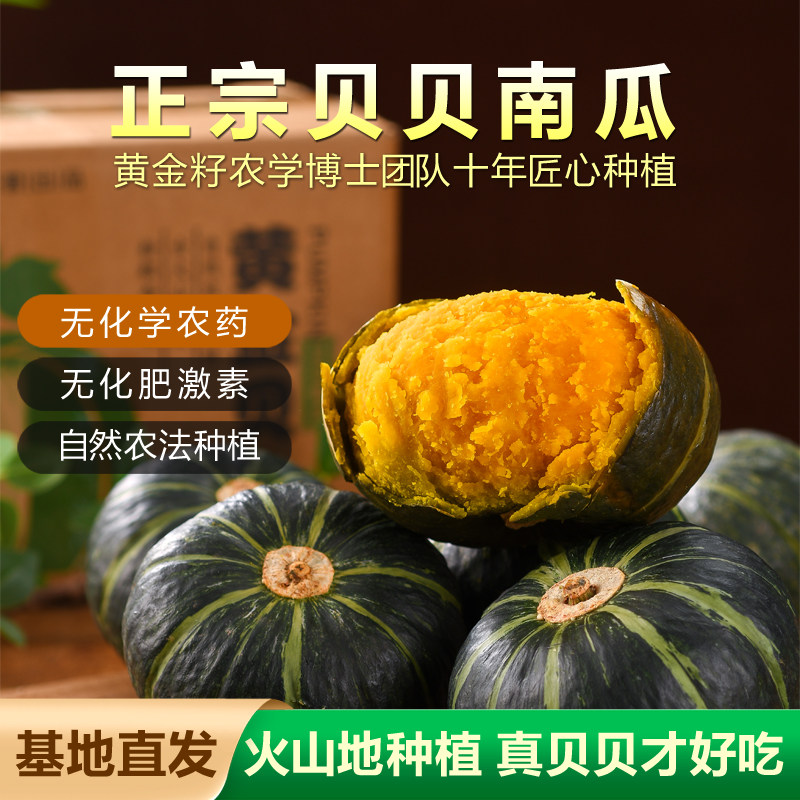 黄金籽真贝贝粉糯香甜