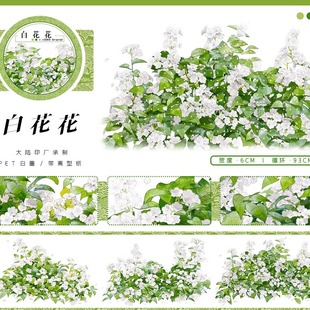 手帐分装胶带白花花zero绿叶背景装饰古风PET素材账流麻diy贴纸