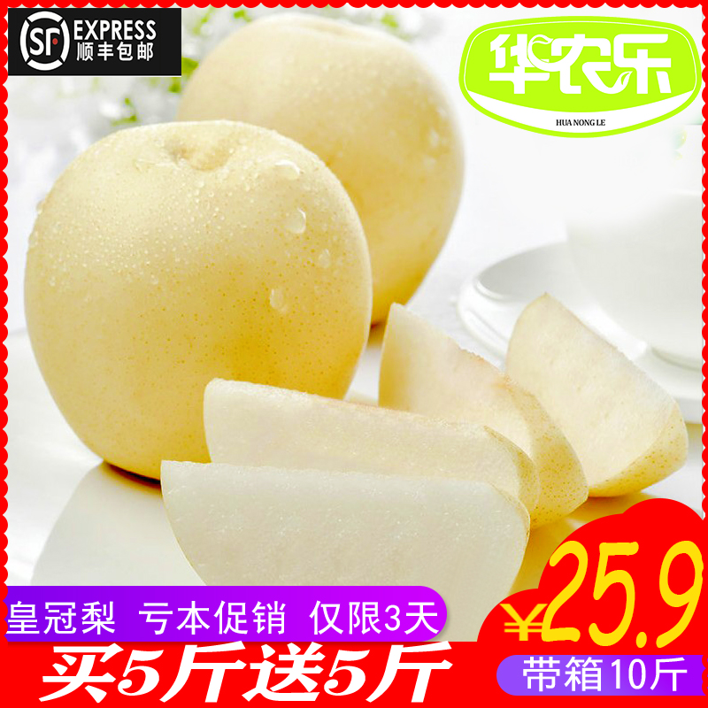 赵县皇冠梨带箱10斤新鲜水果当季雪花梨鸭梨应季香梨砀山梨批发