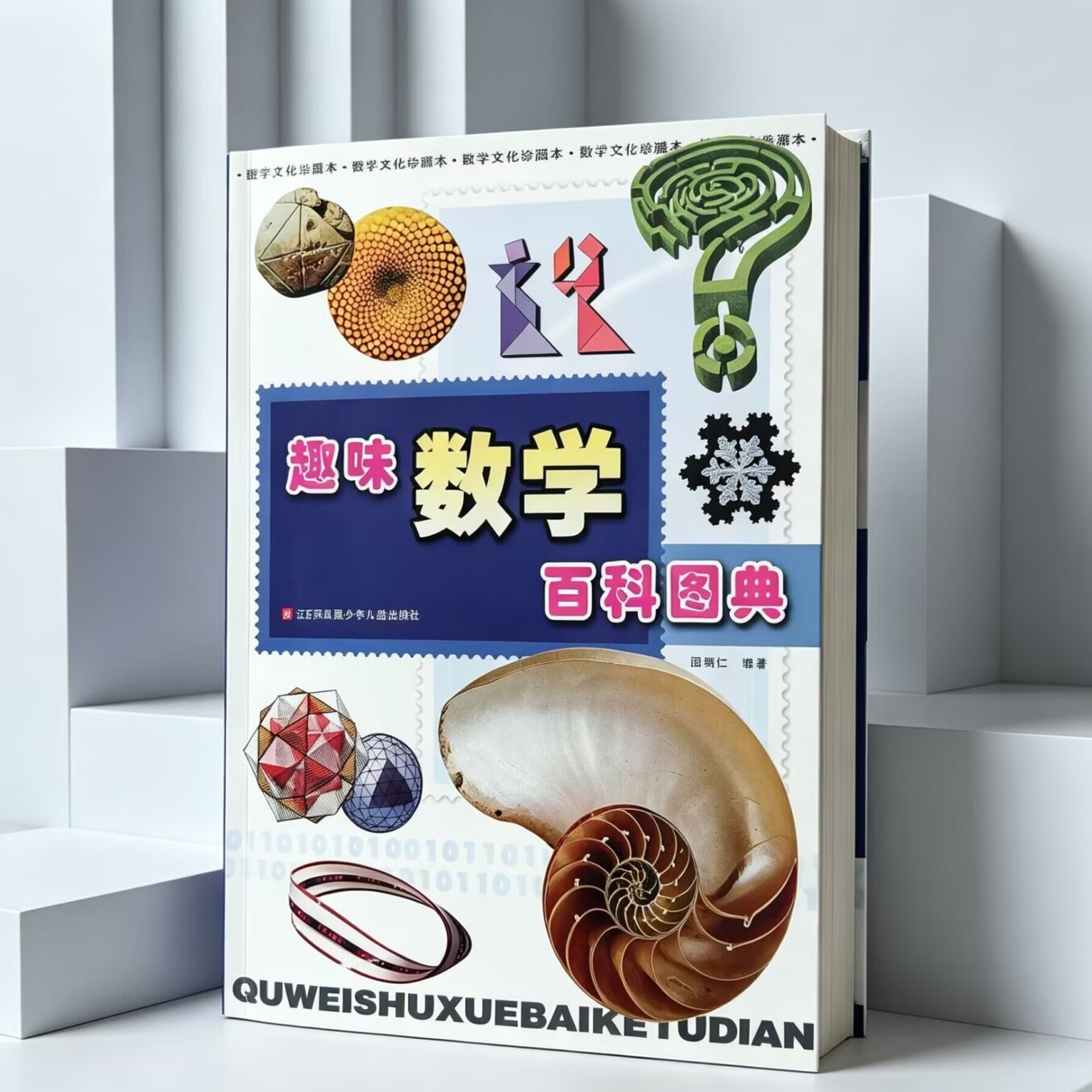 趣味数学百科图典田翔仁著数学简史拓展数学视野数学趣题数学思维数学之美 课外阅读儿童百科绘本小学生百科全书 数学真好玩 正版