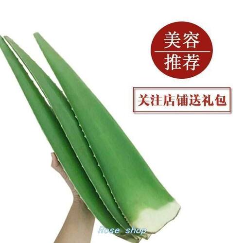 aloeversdibutyfhaloev