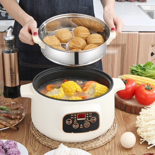 110V American standard multifunctional electric cooking pot,