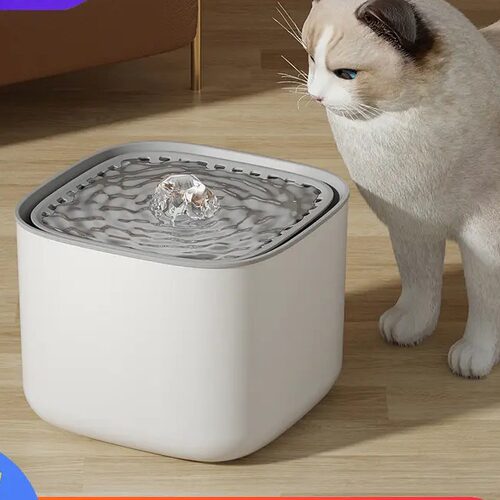 Catdogpewrisnculfk
