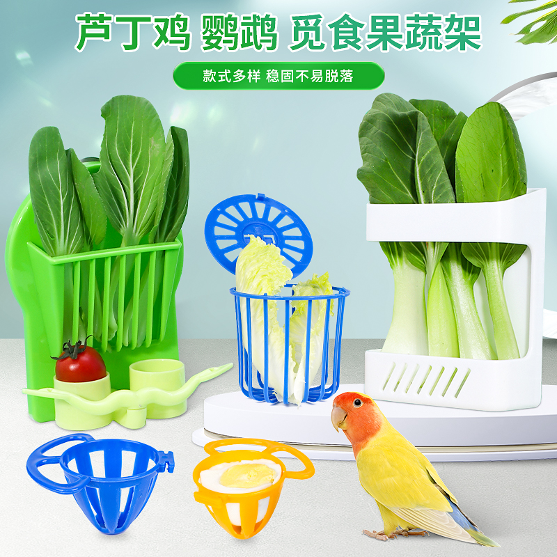 松鼠博士喂食器果蔬架子墨鱼骨架