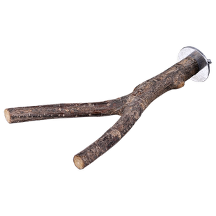 鹦鹉站台苹果木跳台站架牡丹虎皮玄凤鹦鹉原木站台休息栖息台跳板