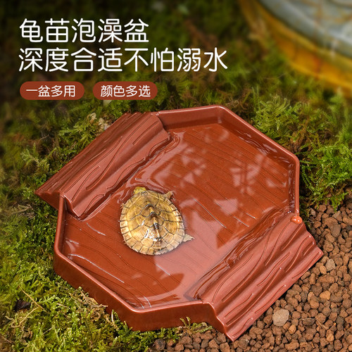 龟苗泡澡防溺水一盆多用饮水盆