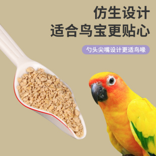 鹦鹉BB喂奶勺喂奶器手养八哥鹩哥玄凤虎皮雏鸟幼鸟奶粉喂食勺塑料