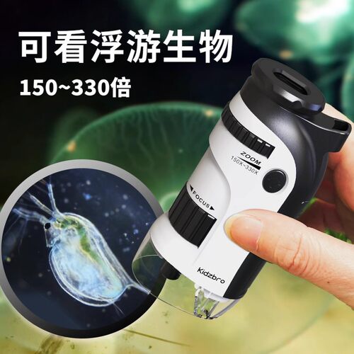手持显微镜可看细菌细胞中小学生