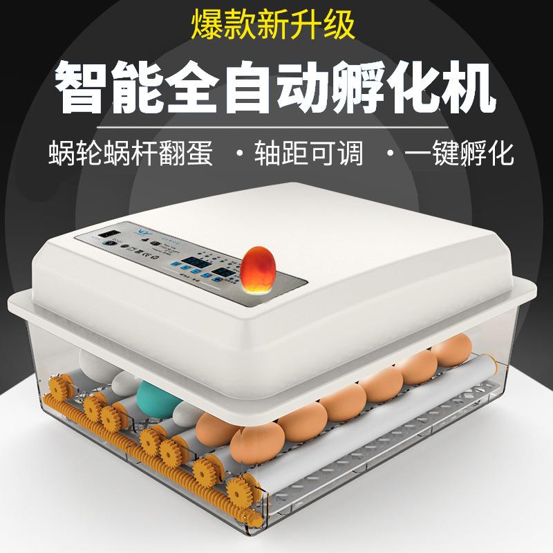 鸡蛋孵化器种蛋鸡鸭鹅鸽子繁殖孵化加热器孚化机蛋类破壳照蛋灯