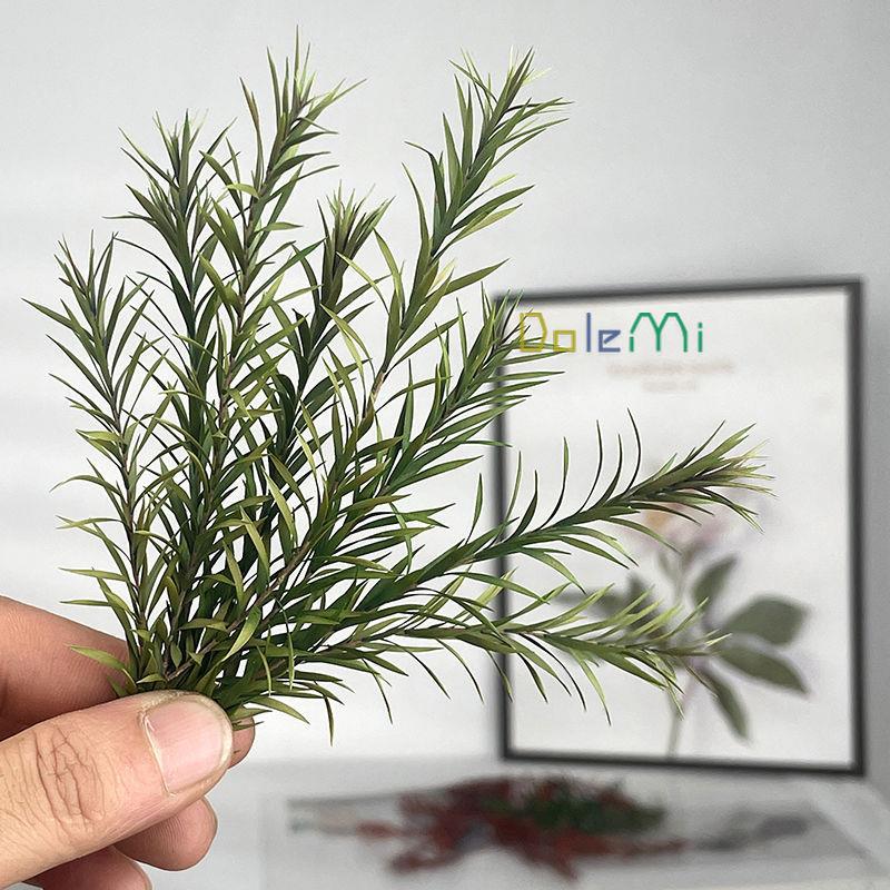 永生花千层金干花配草香薰蜡烛圣诞花环藤圈点缀材料Diy居家装饰