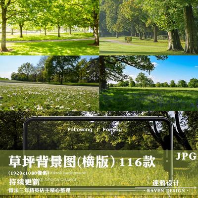 横屏户外公园绿地草坪踏青电商虚拟直播间绿幕背景JPG图片素材