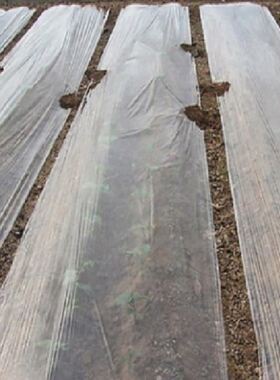 种植地膜0.8米宽我想买黄瓜透明保湿保温农民整卷大棚红薯60公分.