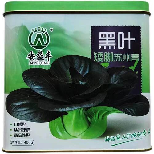 黑叶青菜籽种子种苏州小矮青菜海青菜种籽上抗病脚油菜秋冬蔬XTU