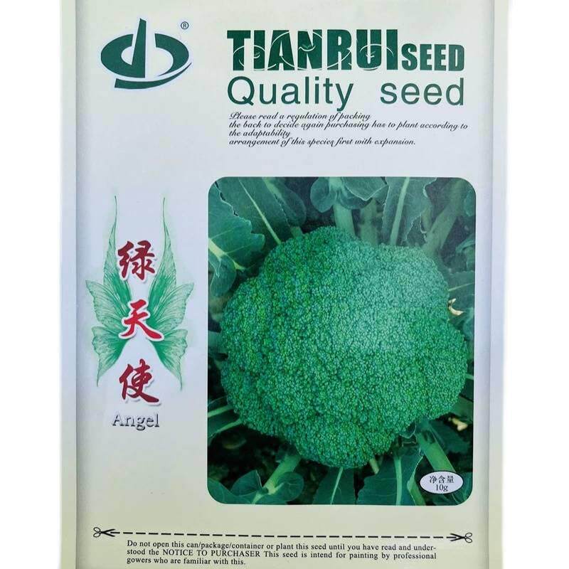 绿天使西兰花种早熟杂交青花种籽花UBV菜耐椰寒菜春秋农家子西蓝