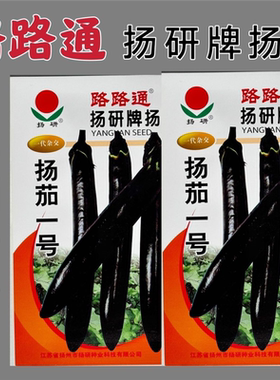 扬研路路通金品扬茄一号紫黑皮茄子皮薄有光泽紫黑茄子农家播