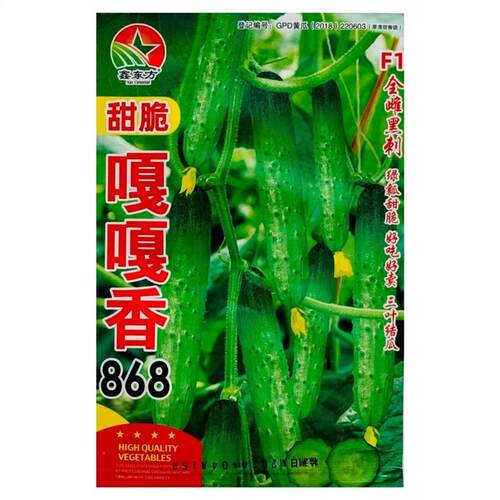 嘎嘎香868黄瓜种子早熟40天速生长口感脆甜农家院黄瓜种子高产
