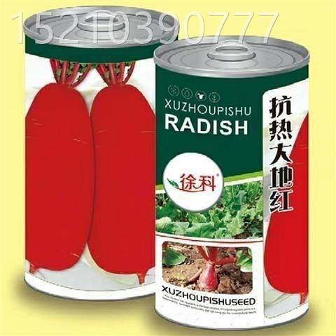抗热868/大地红大红袍萝卜种籽大红袖红萝卜种子杂交耐热四季播