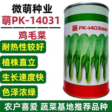 微萌PK14031 鸡毛菜种子耐热青菜抗病耐雨水生长速度快大田用种孑