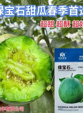 中科茂华早熟绿宝石甜瓜种子口腔小口感酥甜香味浓不裂果果肉绿色