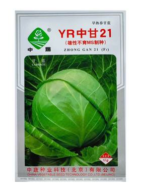 YR中甘21甘蓝种子春播早熟耐抽苔亮绿圆球抗枯萎病甘蓝包菜中子籽