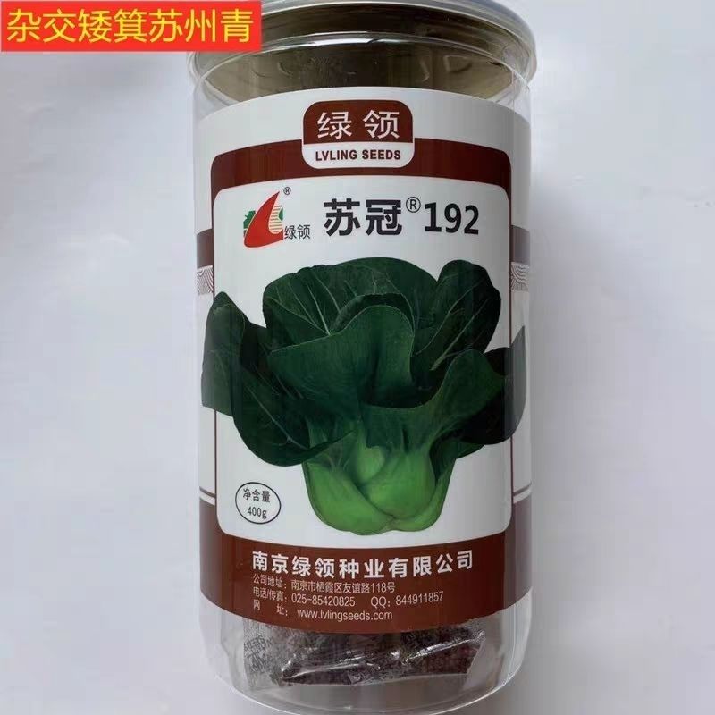 苏冠192黑叶矮脚苏州青青菜种籽高产四季播耐寒矮箕黑菜种子
