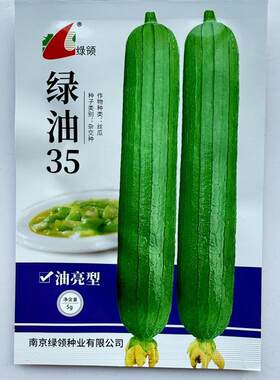 绿油35丝瓜种子早熟深绿种籽油亮短棒高产油皮蔬菜种子春秋