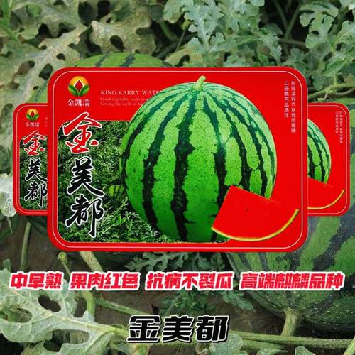 金凯瑞金美都F1西瓜种子高产早中熟抗病不裂瓜红壤麒麟瓜大田种籽