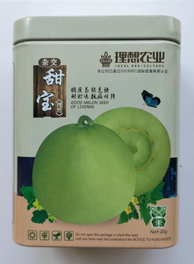 理想甜宝甜瓜种子早熟子孙蔓结瓜果实圆球形果肉绿白肉厚脆甜味香