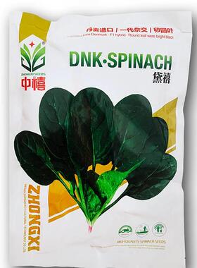 黛禧菠菜籽种子季领种业绿春交夏秋季大棚四播墨绿强墨绿TTA特杂