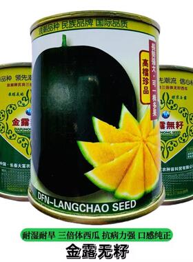 金露无籽种子高档珍品西瓜耐湿耐旱中晚生品种口味纯正50克