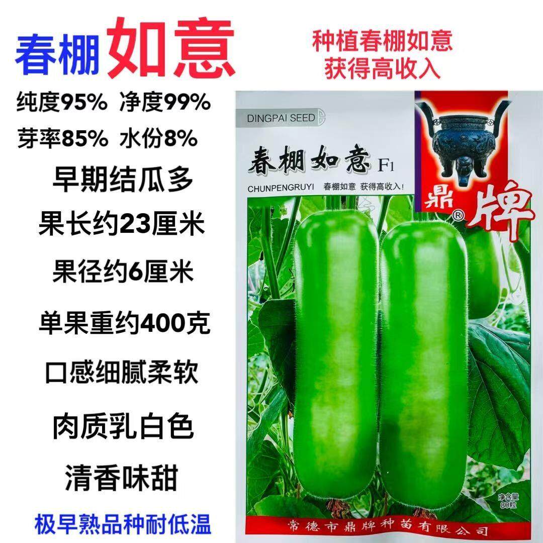 鼎牌春棚如意瓠瓜种子极早熟春秋季菜瓜节瓜绿皮白肉短棒瓠瓜种籽