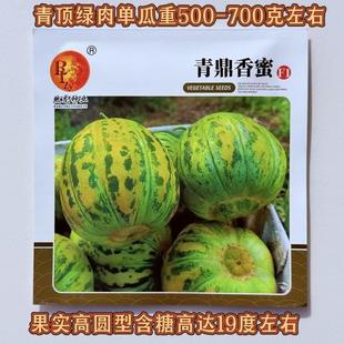 豹点青鼎香蜜甜瓜种子八里香甜瓜种籽口感脆甜绿肉高圆型香瓜籽孑