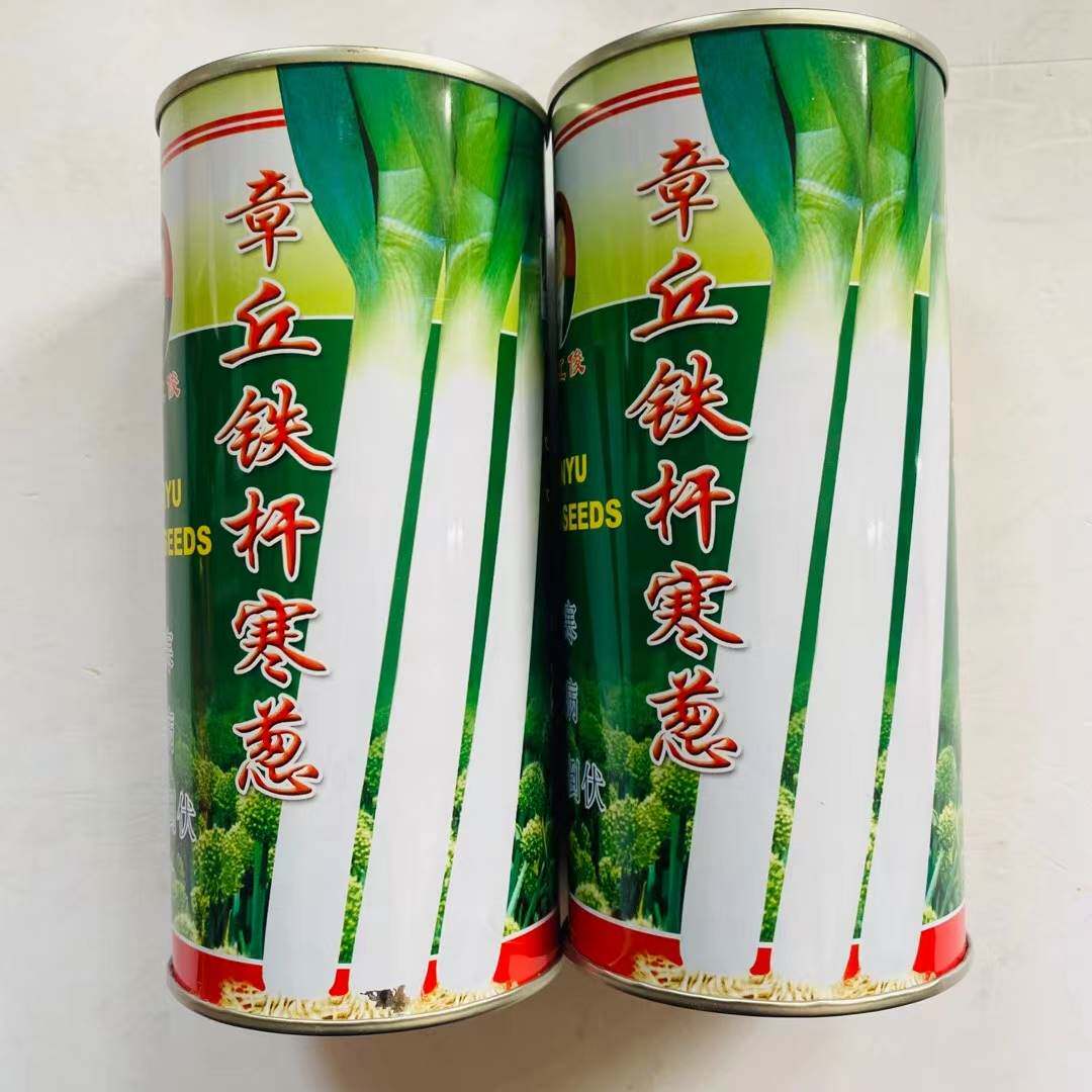 山东章丘大葱种子 铁杆寒葱 正宗铁杆葱 家用大葱子 种子蔬菜高产