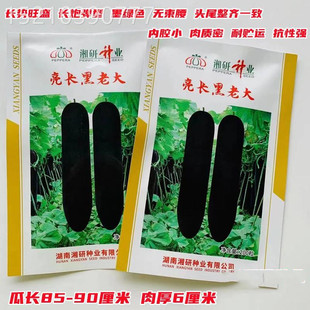 亮长黑老大黑皮冬瓜种子种籽苗特大巨型黑皮蔬菜孑东瓜蔬莱春天菜