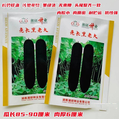 亮长黑老大黑皮冬瓜种子种籽苗特大巨型黑皮蔬菜孑东瓜蔬莱春天菜