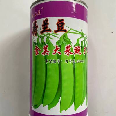青岛大菜豌种子食荚菜碗豆荚荷兰豆豌豆花白色双生春秋播蔬菜种孑