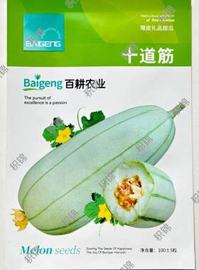 百耕十道筋甜瓜种子100粒