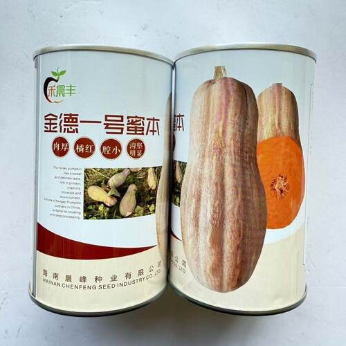 晨峰金德一号蜜本南瓜种子中熟棒槌形肉厚腔小甜度高50克高产大田
