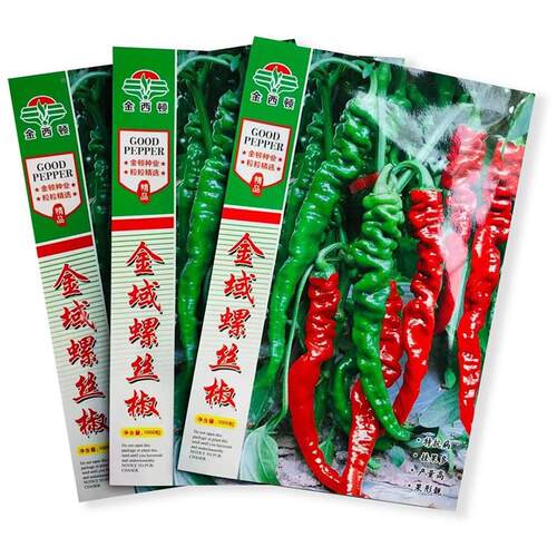 金螺丝椒高产香辣子螺丝椒辣椒椒种青KAY皱皮辣椒种薄皮早域熟种