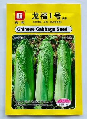 德高龙福1号绍菜种子优质早熟高产抗病蔬菜商品性佳农家秋季播种
